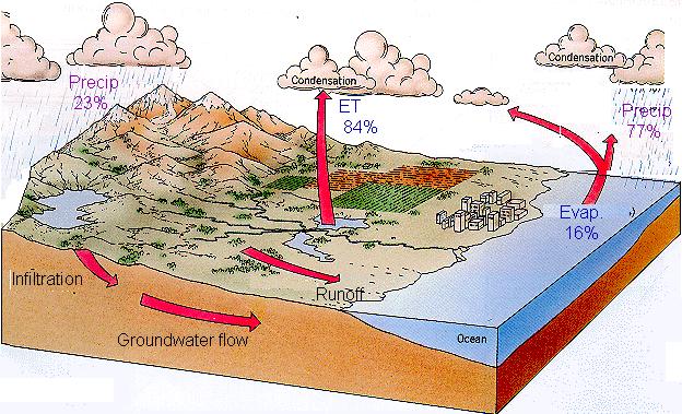 Importância da ET no ciclo hidrológico A evapotranspiração é a forma pela qual a água da superfície terrestre passa para a atmosfera no estado de vapor, tendo papel importantíssimo no Ciclo