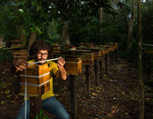 Foto: Araquém Alcântara PROGRAMA COLMEIAS Apoia pequenos produtores de mel no entorno das florestas de eucaliptos da Fibria.