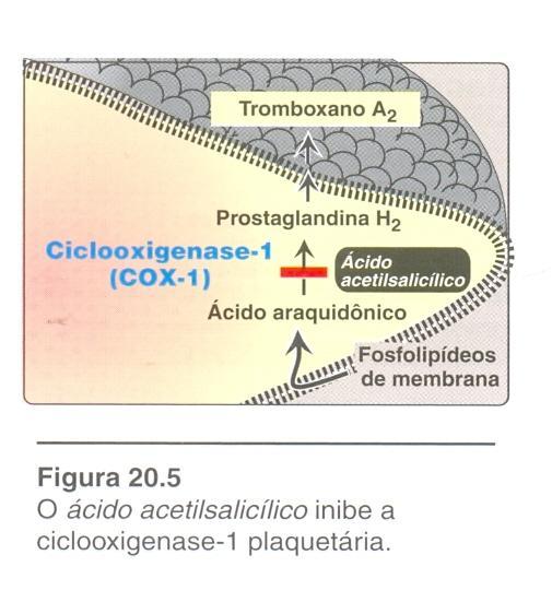 Antiplaquetário a estimulação das plaquetas por trombina, colágeno e ADP resulta na ativação das fosfolipases de membrana das plaquetas, que liberam AA,