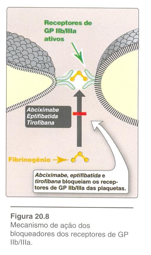 bolus, seguida de uma administração de 0,125μg/kg durante 12 horas Tirofibana - 0,4