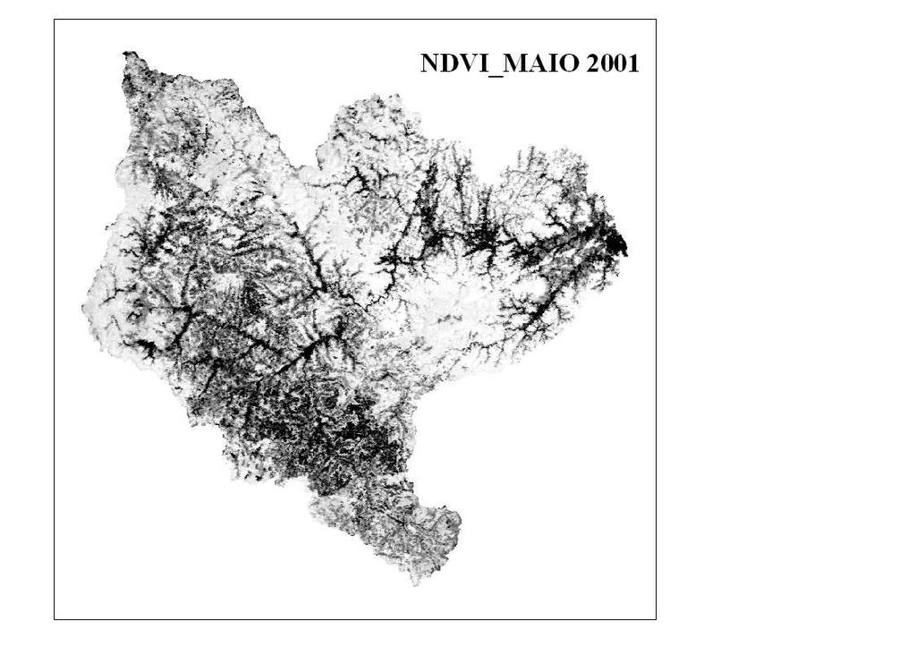 Imagens dos índices EVI e NDVI da bacia do Itajaí (MODIS 13). 2.