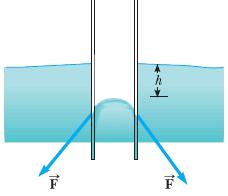 Se um fluido para o qual as forças adesivas dominam sobre as forças coesivas,