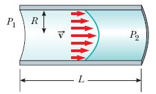 Lei de Poiseuille Taxa de fluxo = Número de Reynolds Em suficientemente altas velocidades, o fluxo de fluidos muda de simples fluxo laminar para fluxo turbulento, caracterizado por um movimento