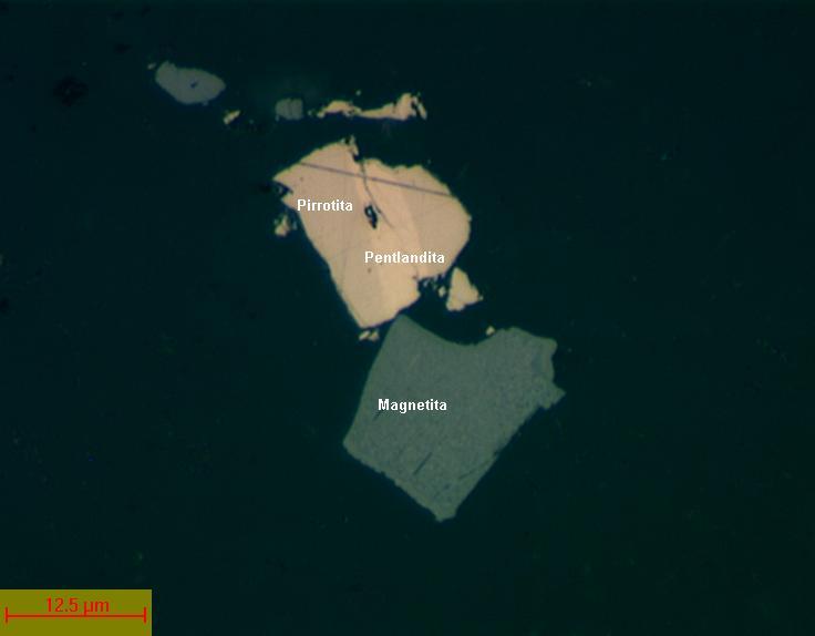 61 Fig. 6.8 Partícula de magnetita e partícula mista de pirrotita com pentlandita (- 38 + 20 µm). A fotografia da Figura 6.