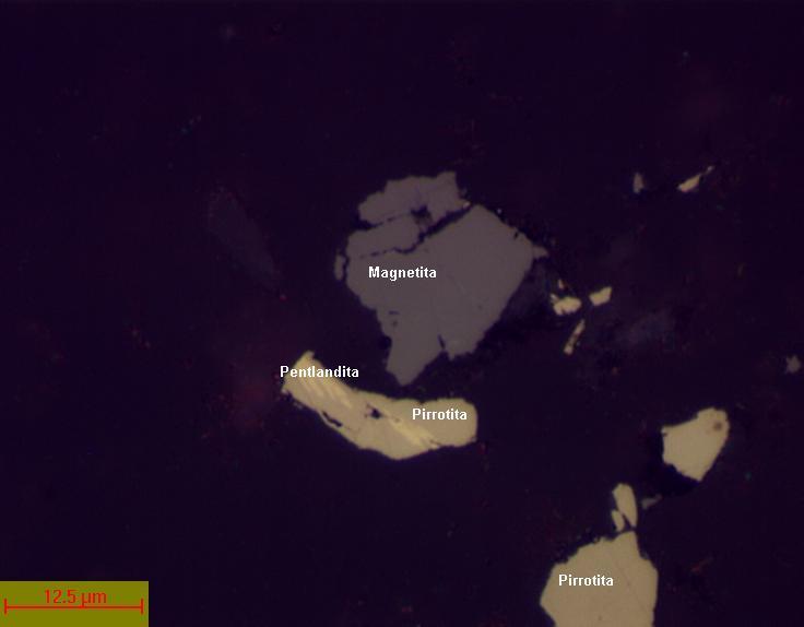 62 Fig. 6.9 Partículas de magnetita e pirrotita juntamente com partícula mista de pirrotita com pentlandita (-20 µm). A fotografia da Figura 6.