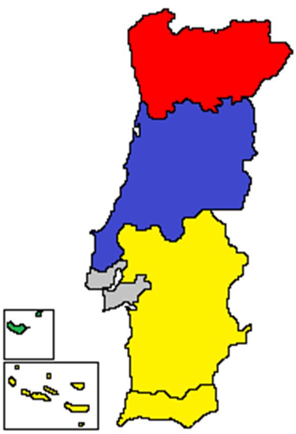 ORIGEM DOS VISITANTES NACIONAIS: Nacionais - Região de origem Norte 41,1% Centro 20,6% Madeira 13,8% Açores 9,5% Algarve 7,4% Alentejo 5,3% Lisboa 2,3% 41,1% dos visitantes nacionais na cidade de