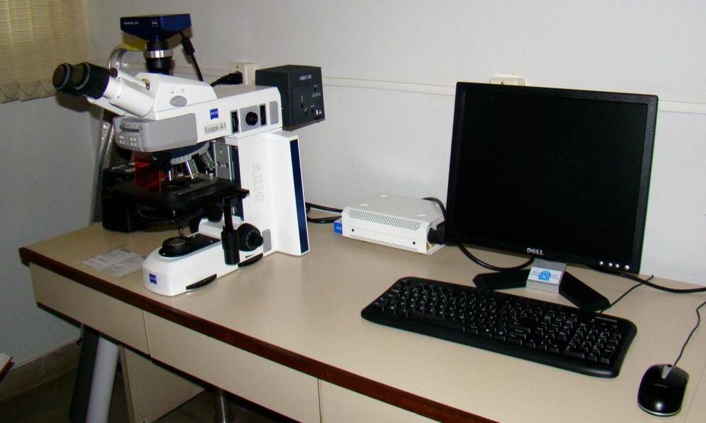 por utilizar a denominação proposta por Parfitt em 1987 a qual já compreende os parâmetros morfométricos tridimensionais obtidos pela microtc. Figura 5.