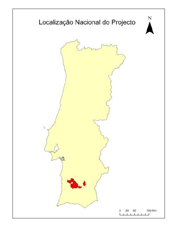 Programa de recuperação de Montado (Alentejo-Ourique) (ACPA-INIAV) Objectivo principal: Recuperar uma área de 652 ha de Montado localizada no Baixo Alentejo-Ourique.