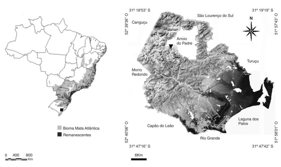 da Serra dos Tapes, acima da qual predomina uma vegetação campestre herbáceo-arbustiva (HEIDEN; IGANCI, 2009). Figura 1.