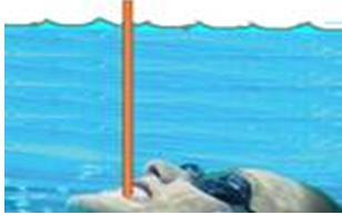 Aceleração da gravidade (g): 10 m/s 2 QUESTÃO 10 Para um mergulhador, cada 5 m de profundidade atingida corresponde a um acréscimo de 0,5 atm na pressão exercida sobre ele.