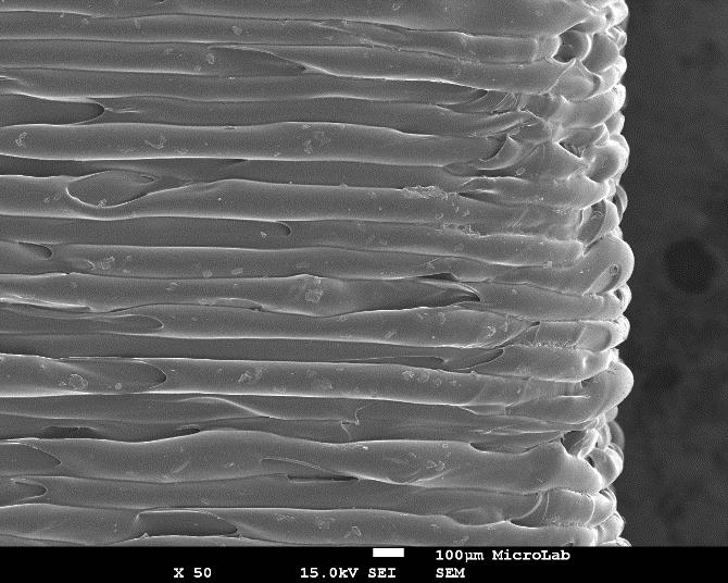 Figura 41 - Fotografias da Face Lateral do Cubo com uma Espessura da Camada de 0.1 mm Obtida por SEM Figura 42 - Fotografias da Face Lateral do Cubo com uma Espessura da Camada de 0.