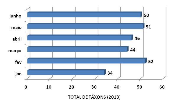 Os demais pontos apresentaram concentrações menores que 100 NMP/100 ml, portanto, com resultado satisfatório segundo a Resolução CONAMA 274/2000.