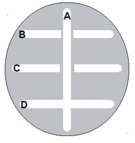 Figura 3: Representação esquemática de um ensaio flip streak mostrando: (A) cultura produtora de bacteriocina, (B) e (C) culturas sensíveis à bacteriocina, (D) cultura não sensível à bacteriocina
