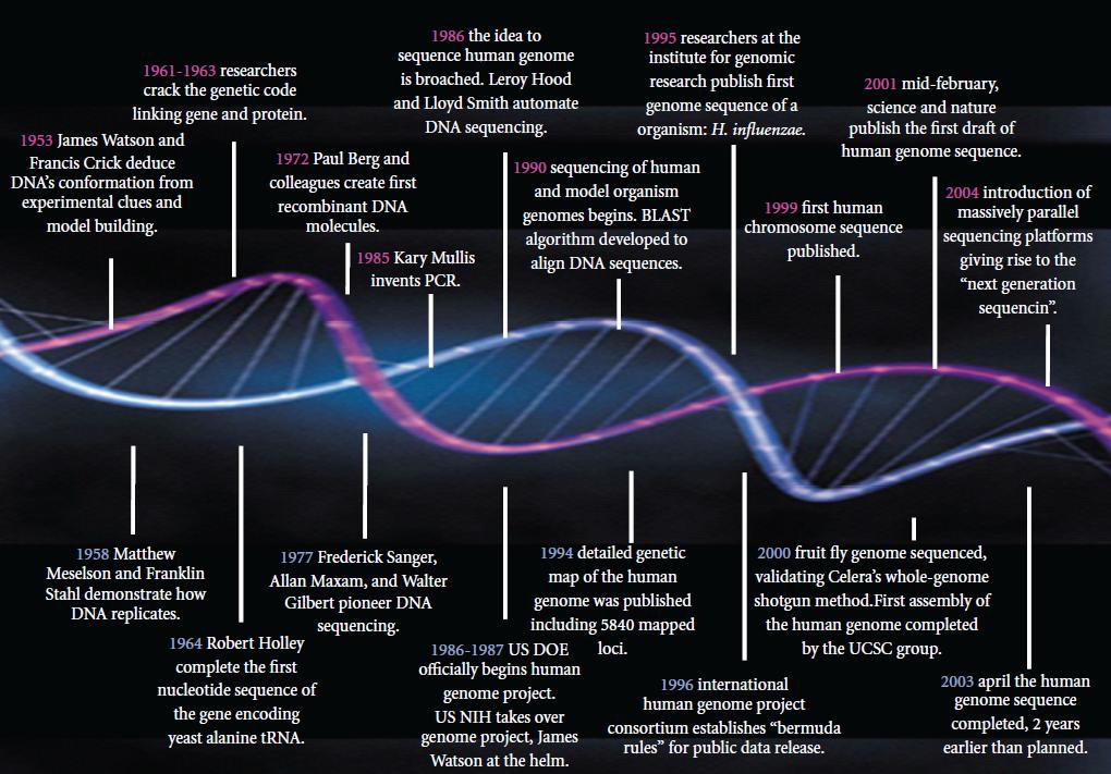 DNA Evolution