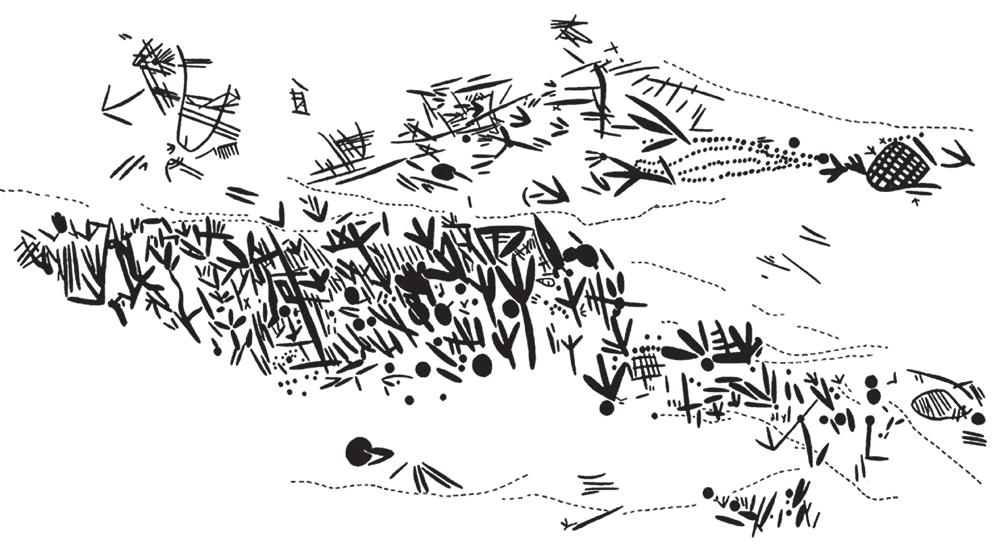 Ocupação do Planalto Central Quem eram e como viveram os primeiros grupos humanos que chegaram na região central do Brasil? O Planalto Central já era ocupado desde 11.000 anos A.P. por uma população humana composta de caçadores e coletores.