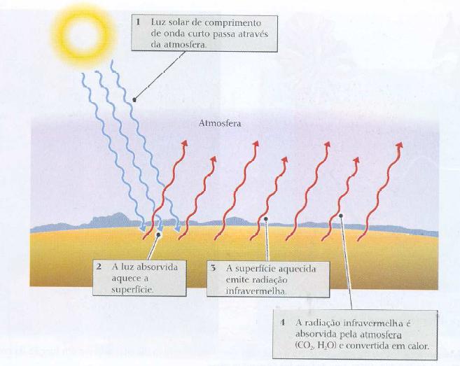 Efeito Estufa Luz solar de comprimento de onda curto passa pela atmosfera Luz solar absorvida aquece a superfície Ricklefs (2003): A Economia da Natureza GEE (CO2e): CH4