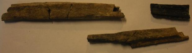 esquerda; fragmentos de fíbula em baixo, à direita) da fossa 97 de Monte do Vale do Ouro 2.