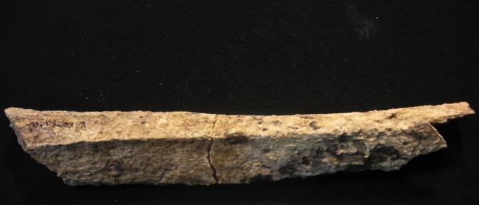 fragmentado, com algumas diáfises dos ossos longos preservadas mas com as extremidades praticamente inexistentes e o esqueleto axial muito fragmentado.