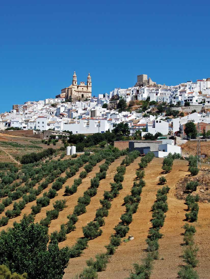Andaluzia: comunidade responde por 80%