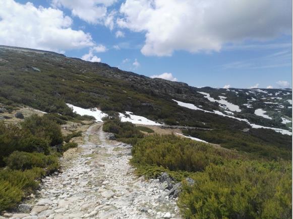 Após o penúltimo troço na neve, uns 100 metros à frente, e lá está o abastecimento da