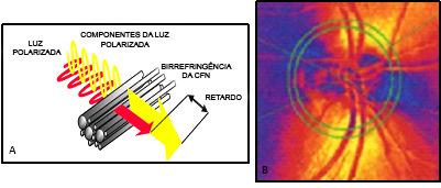 INTRODUÇÃO 36 (Figura 9) 14, 82.