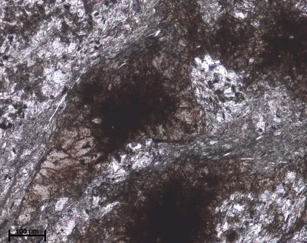 86 Fig. 4.80 Microfotografia de clastos de estaurolite substituídos por óxidos de ferro, em nicóis paralelos (N//).