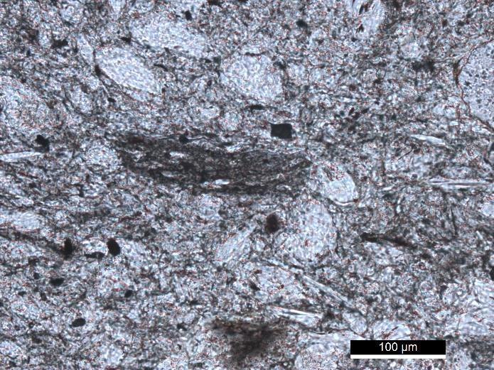 138 RM2a rocha vulcânica do Câmbrico (CXG) Microscopia de luz transmitida