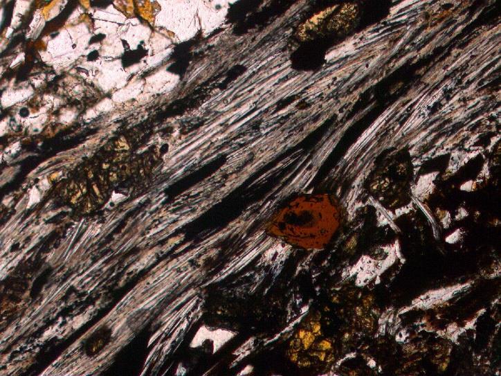147 RM15 micaxisto englobado na zona estaurolite do CXG Microscopia de luz transmitida st Estaurolite não poissilítica, entre