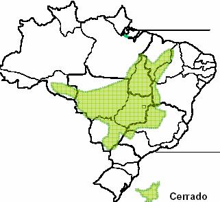 20 para as concentrações máximas para agentes tóxicos presentes em fertilizantes, corretivos, inoculantes e biofertilizantes, sejam eles produzidos, importados ou comercializados, torna-se ainda mais