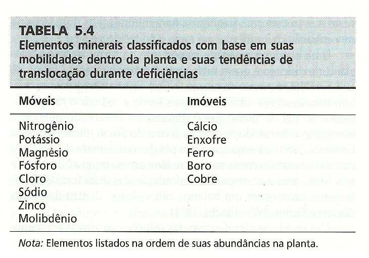 Manejo de fertilizantes em cultivos protegidos - Objetivo: fornecer nutrientes que são