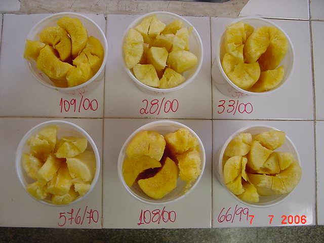 Biofortificação Exemplos Conclusão: É possível selecionar variedades de mandioca com alto potencial produtivo, alto teor de