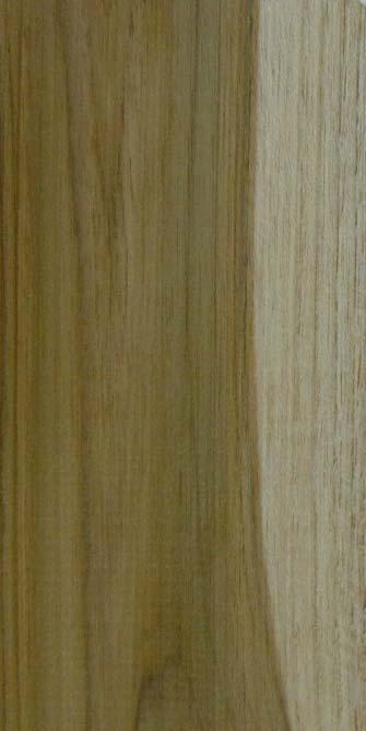 Quanto às características microscópicas, a madeira apresenta poros solitários e múltiplos (Figura 2C);