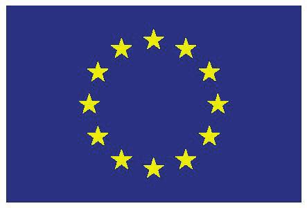 normas harmonizadas e, quando aplicável ou necessário, por um organismo notificado da Comunidade Europeia, sendo que esta declaração é emitida de acordo com a decisão n.