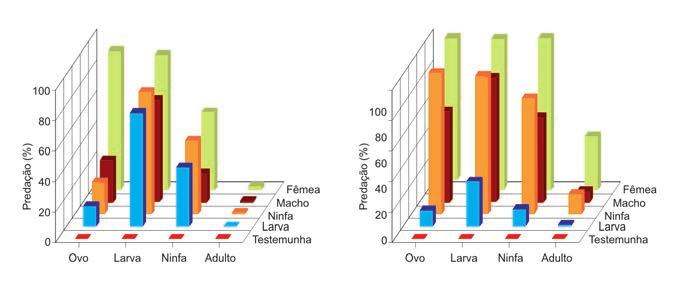 Ácaros em cafeeiros 47 A B Gráfico 7 - Porcentagem de predação de Brevipalpus phoenicis, em suas diferentes fases do desenvolvimento, por larva, ninfa e adulto (macho e fêmea) dos ácaros predadores
