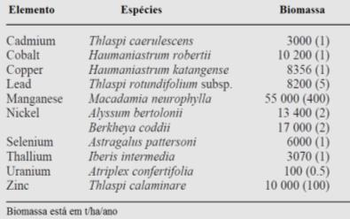 Espécies