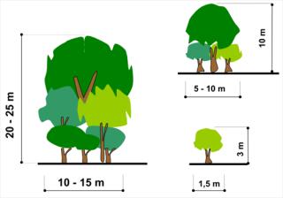 da velocidade eólica Figura 3