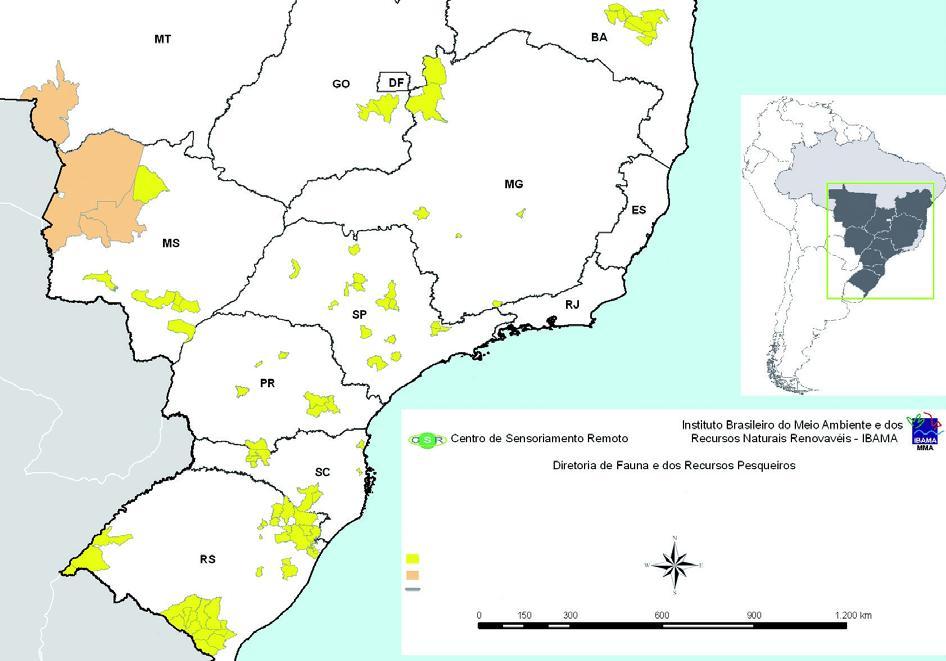 12 2 RESULTADOS E DISCUSSÃO Segundo DEBERDT e SCHERER (2007) até dezembro de 2006, haviam relatos da presença de grupos de javalis asselvajados nos estados de Rio Grande do Sul, Santa Catarina,