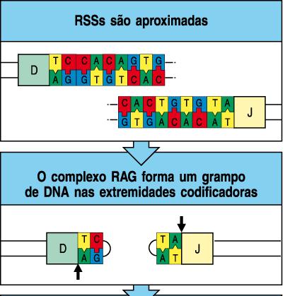 A introdução dos