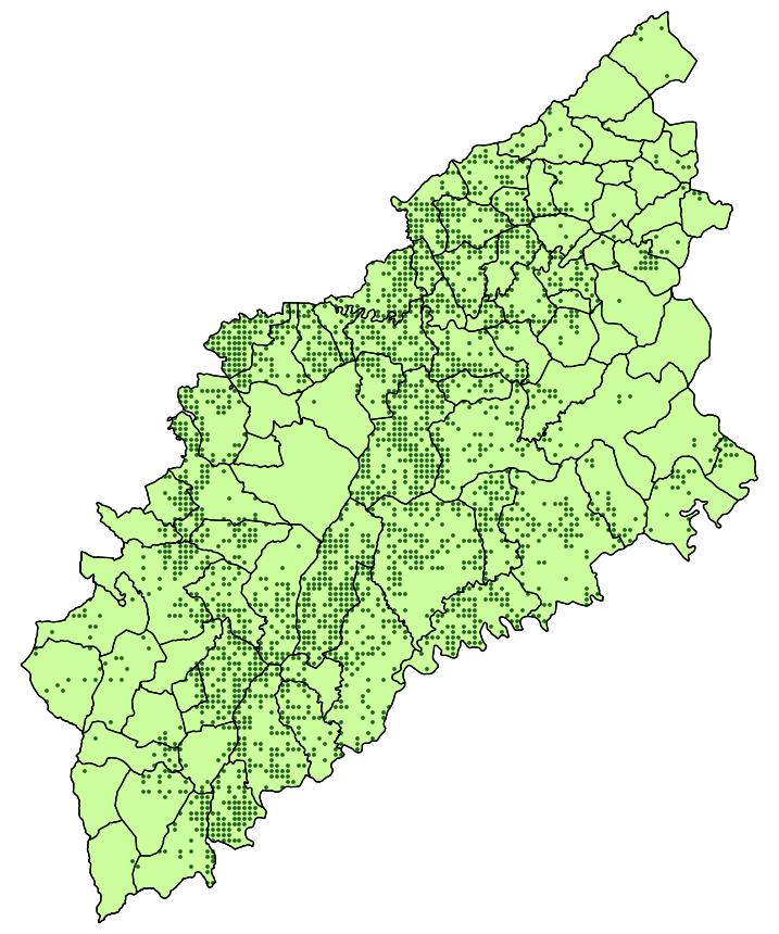 A floresta de eucalipto no Pinhal Interior Norte Segundo o IFN5 (2005/06), no Pinhal Interior Norte estão localizados: 4% da floresta do continente 7% do eucaliptal nacional Segundo o INE (2013),
