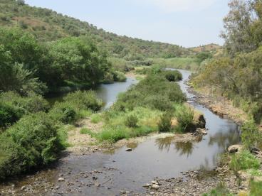AMEAÇA Poluição da água e Qualidade do habitat 1 2 Promover a conservação do Saramugo Identificação focos