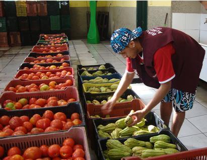 BANCO DE ALIMENTOS da CEASA/RS LOGÍSTICA DE COLETA Dentro da CEASA/RS - Posto de coleta no GNP - Coleta nos BOX dos atacadistas Fora da CEASA/RS - CEASA/RS faz coleta de panificados