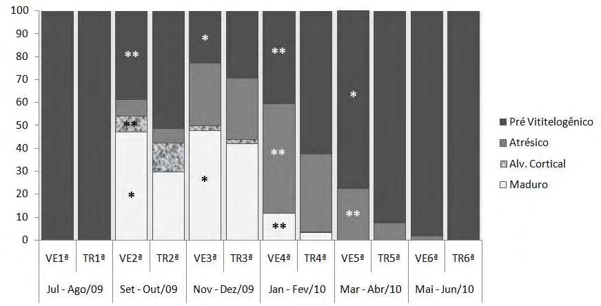 39 Figura 2. Frequência percentual dos diferentes tipos de ovócitos encontrados em cada coleta para as fêmeas de VE e TR.