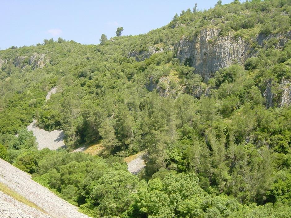 proteção. Classifica ainda a paisagem do Canhão Cársico da Ota com única na região de Lisboa e como apresentando características geomorfológicas da maior relevância a nível nacional.