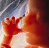 RELAÇÕES SOCIAIS DO LIBERALISMO O DIREITO DO NASCITURO O Senhor, Nosso Deus, protege o direito á vida do nascituro expressado em sua Palavra pela proteção a mulher grávida que é o instrumento de