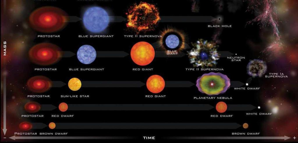EVOLUÇÃO ESTELAR II Estrelas de alta massa M > 12 M Estrelas mais