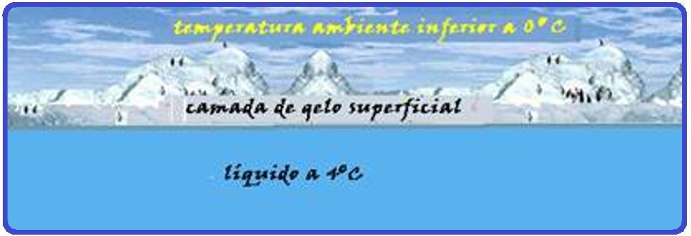 congela e esse gelo isola por condução o ambiente acima da superfície da água (a menos de 0