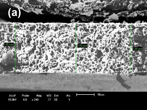Figura 7 Fotografias obtidas por MEV das membranas com banho de precipitação com 30% de ácido fórmico: (a) PA6; (b) PA6 + 3%MMT e (c) PA6 + 5%MMT.