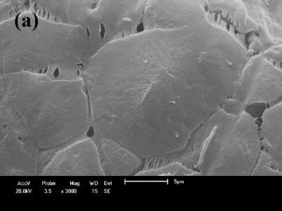 a presença de argila com teores de argila de 3 e 5% nas membranas de PA6 apresentaram uma maior quantidade de poros os quais são muito