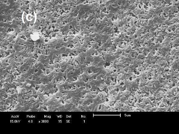 Para as membranas obtidas a partir dos nanocompósitos, foi possível visualizar que os poros aparentemente