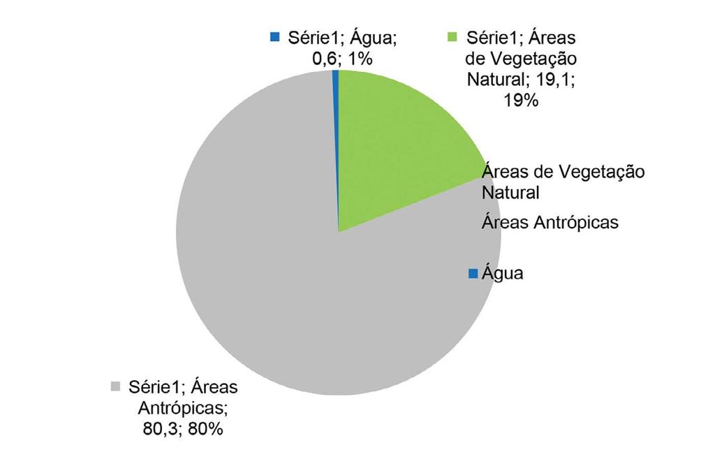 32 Grupo de Pesquisa Pantanal Vivo/AGB Corumbá Figura 3 - Percentagens das áreas identificadas no nível 1 de mapeamento.